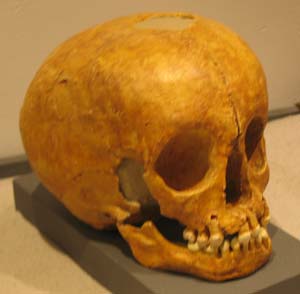 Череп ребёнка неандертальца из Пеш де лАзе