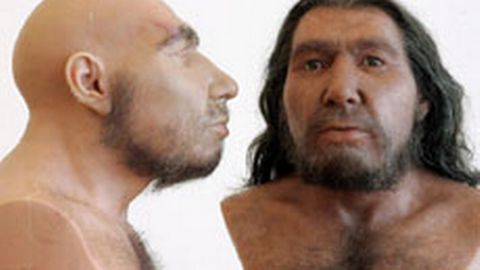 Изображение неандертальца