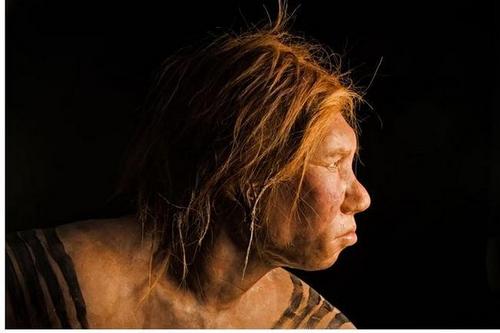 Неандертальская женщина